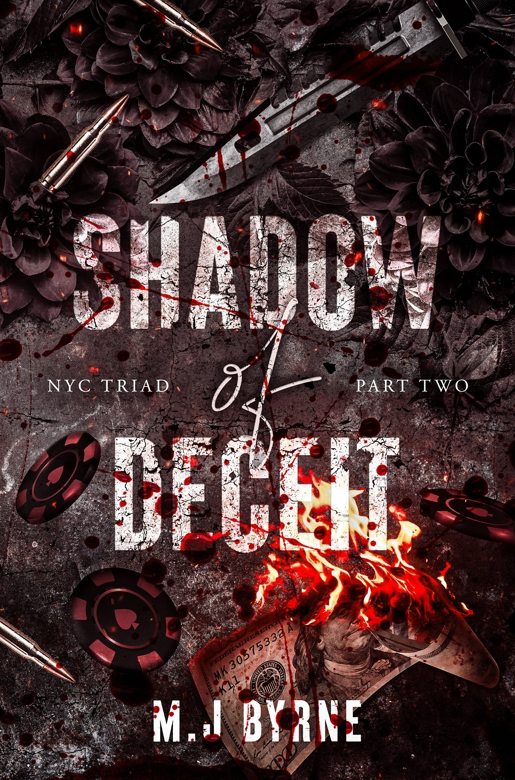 Shadow of Deceit Ebook (1)